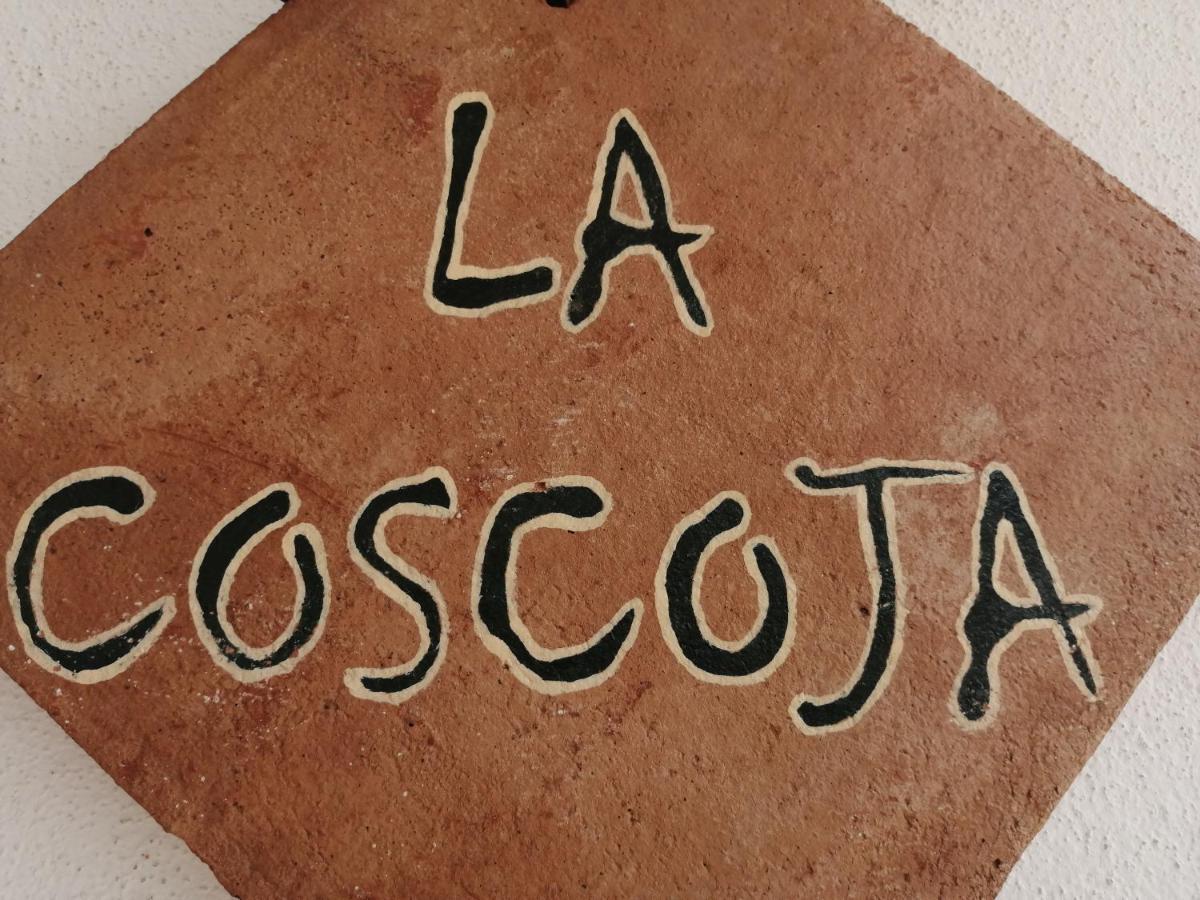 La Solana De Turon. La Coscoja. Holiday home